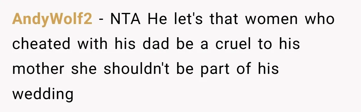 Protective Sister Refuses Brother's Emotional Plea For Family Attendance At His Upcoming Wedding AndyWolf2 − NTA He let's that women who cheated with his dad be a cruel to his mother she shouldn't be part of his wedding