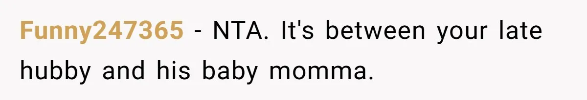 Funny247365 − NTA. It's between your late hubby and his baby momma.