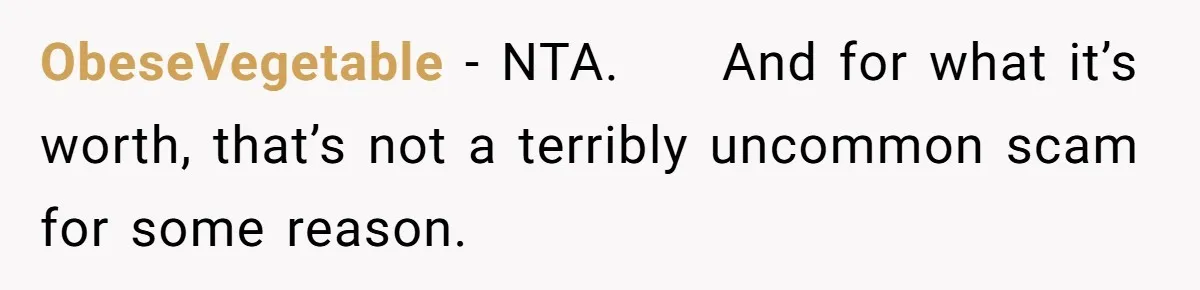 ObeseVegetable − NTA.     And for what it’s worth, that’s not a terribly uncommon scam for some reason.