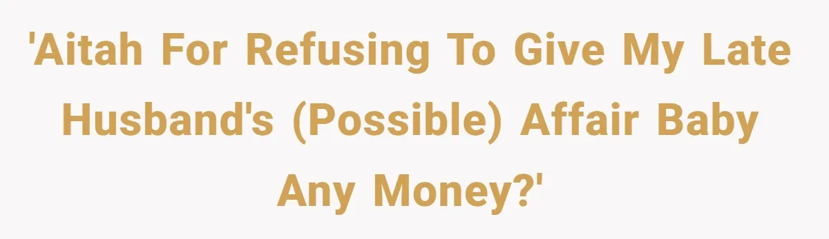 'AITAH for refusing to give my late husband's (possible) affair baby any money?'