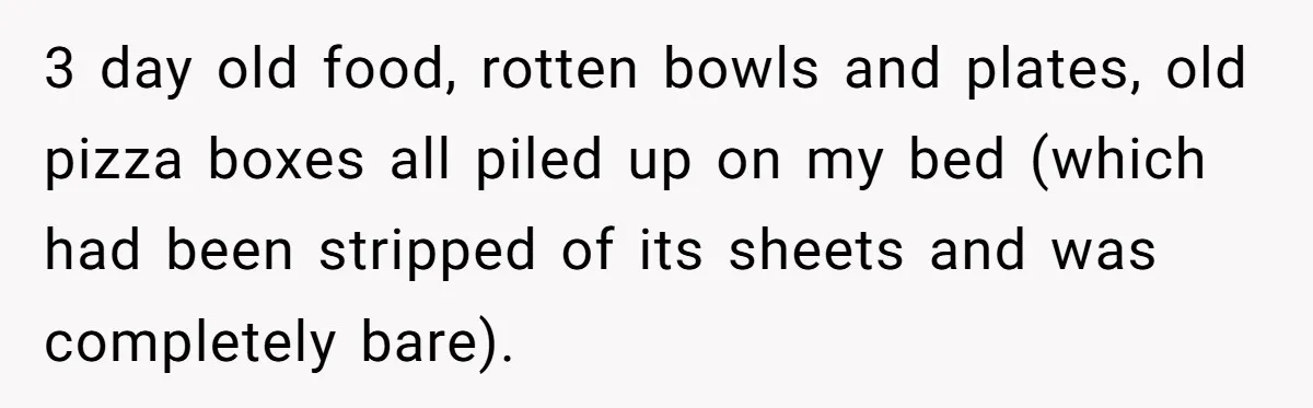 3 day old food, rotten bowls and plates, old pizza boxes all piled up on my bed (which had been stripped of its sheets and was completely bare).