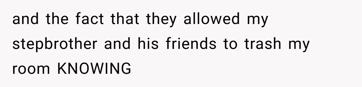 and the fact that they allowed my stepbrother and his friends to trash my room KNOWING