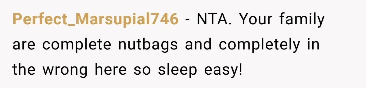 Perfect_Marsupial746 − NTA. Your family are complete nutbags and completely in the wrong here so sleep easy!