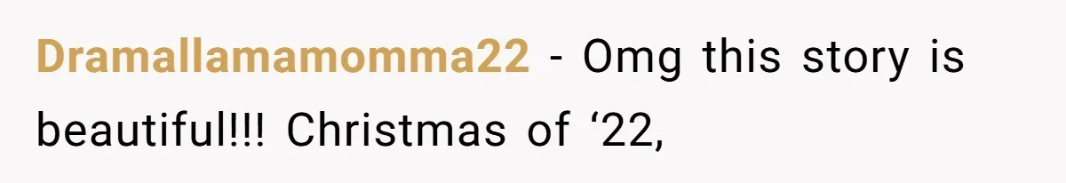 Dramallamamomma22 − Omg this story is beautiful!!! Christmas of ‘22,
