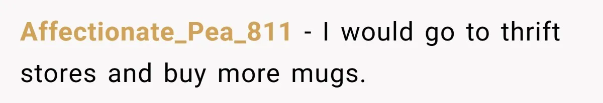 Affectionate_Pea_811 − I would go to thrift stores and buy more mugs.