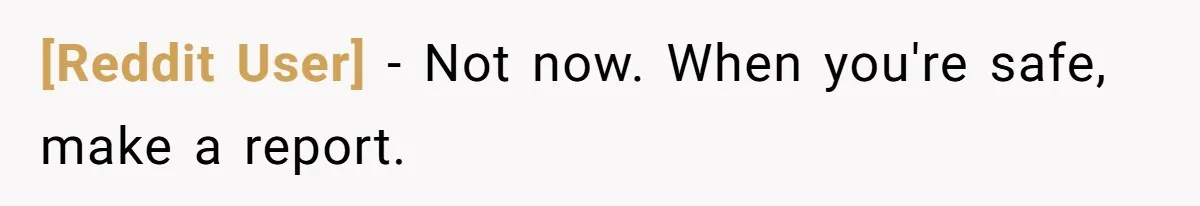 [Reddit User] − Not now. When you're safe, make a report.