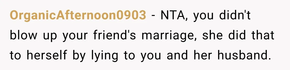 OrganicAfternoon0903 − NTA, you didn't blow up your friend's marriage, she did that to herself by lying to you and her husband.