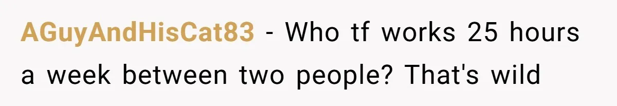 AGuyAndHisCat83 − Who tf works 25 hours a week between two people? That's wild