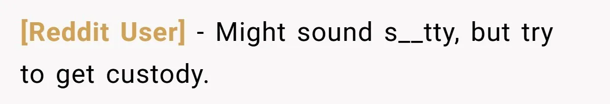 [Reddit User] − Might sound s__tty, but try to get custody.