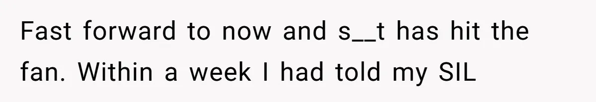 Fast forward to now and s__t has hit the fan. Within a week I had told my SIL
