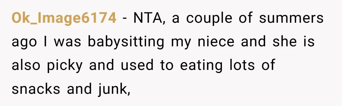 Ok_Image6174 − NTA, a couple of summers ago I was babysitting my niece and she is also picky and used to eating lots of snacks and junk,