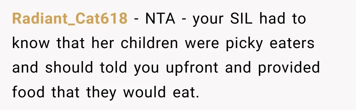 Radiant_Cat618 − NTA - your SIL had to know that her children were picky eaters and should told you upfront and provided food that they would eat.