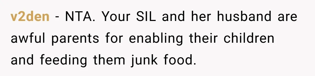 v2den − NTA. Your SIL and her husband are awful parents for enabling their children and feeding them junk food.