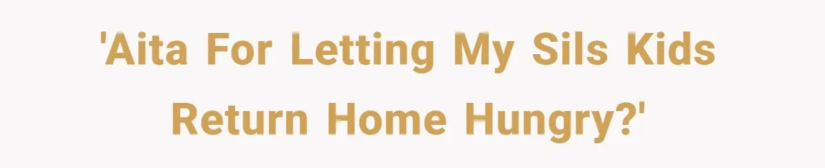 'AITA for letting my SILs kids return home hungry?'