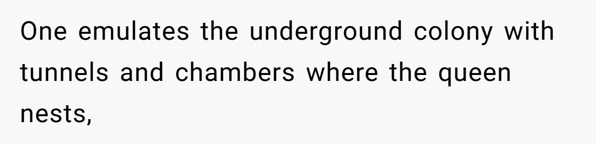 One emulates the underground colony with tunnels and chambers where the queen nests,