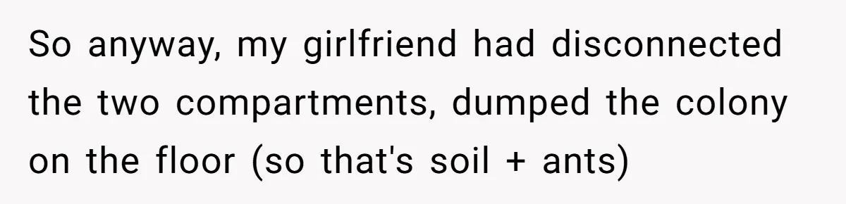 So anyway, my girlfriend had disconnected the two compartments, dumped the colony on the floor (so that's soil + ants)