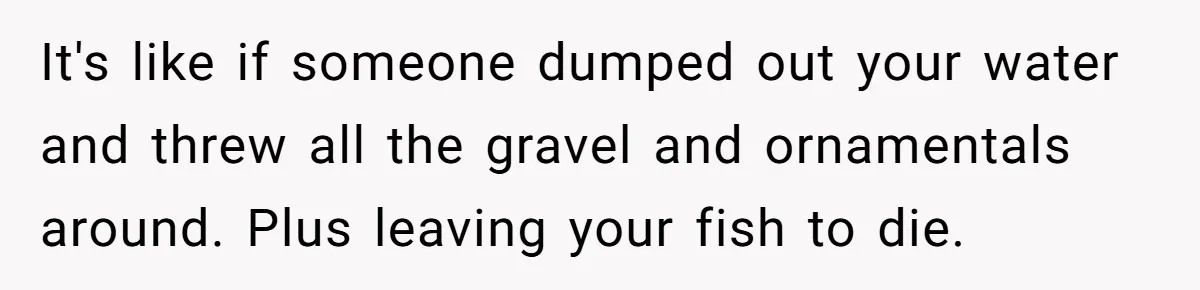 It's like if someone dumped out your water and threw all the gravel and ornamentals around. Plus leaving your fish to die.