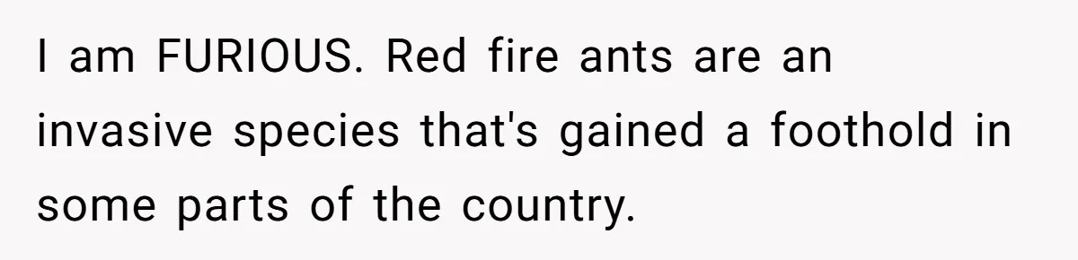 I am FURIOUS. Red fire ants are an invasive species that's gained a foothold in some parts of the country.