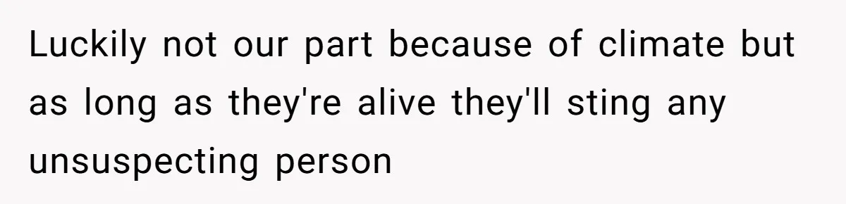 Luckily not our part because of climate but as long as they're alive they'll sting any unsuspecting person