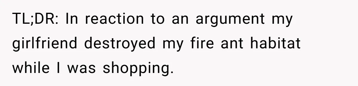 TL;DR: In reaction to an argument my girlfriend destroyed my fire ant habitat while I was shopping.