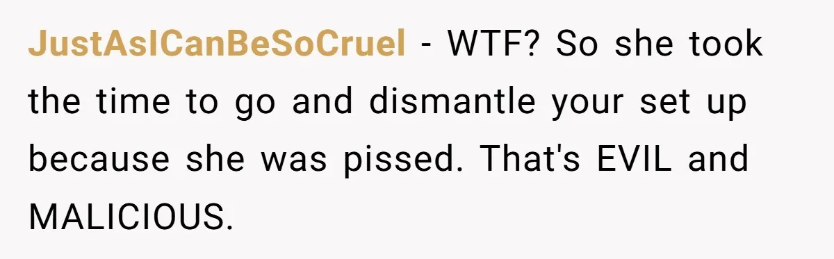 JustAsICanBeSoCruel − WTF? So she took the time to go and dismantle your set up because she was pissed. That's EVIL and MALICIOUS.