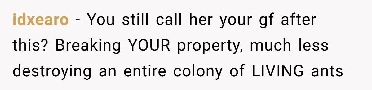 idxearo − You still call her your gf after this? Breaking YOUR property, much less destroying an entire colony of LIVING ants