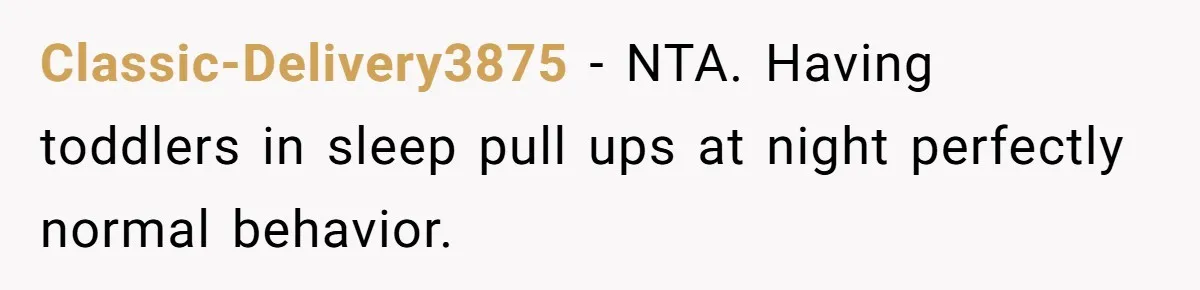 She Asked Overnight Guests to Put Their Kids in Pull-Ups, and the Parents Took Offense Classic-Delivery3875 − NTA. Having toddlers in sleep pull ups at night perfectly normal behavior.