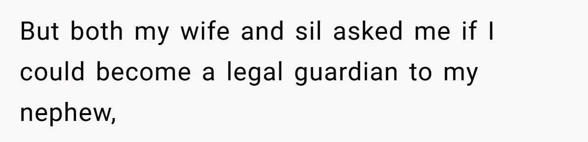 But both my wife and sil asked me if I could become a legal guardian to my nephew,