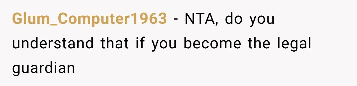 Glum_Computer1963 − NTA, do you understand that if you become the legal guardian