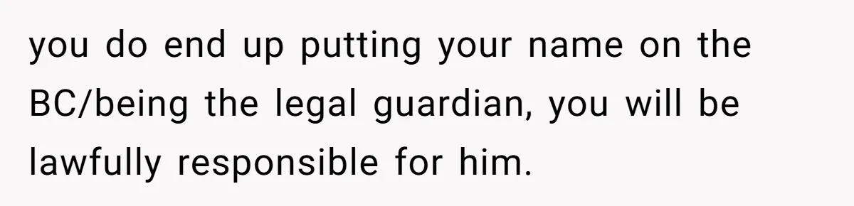 you do end up putting your name on the BC/being the legal guardian, you will be lawfully responsible for him.