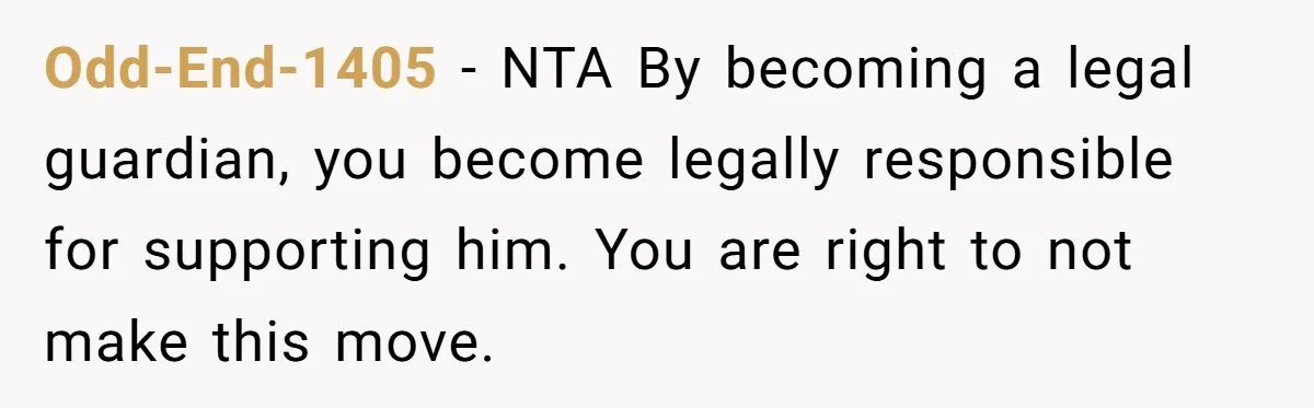 Odd-End-1405 − NTA By becoming a legal guardian, you become legally responsible for supporting him. You are right to not make this move.