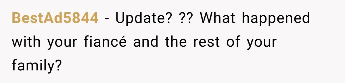 BestAd5844 − Update? ?? What happened with your fiancé and the rest of your family?