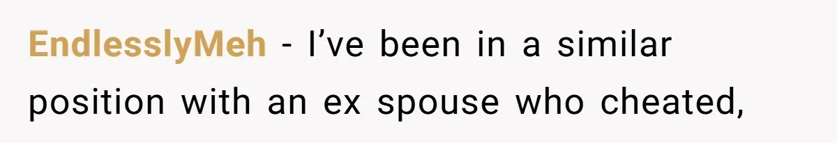 EndlesslyMeh − I’ve been in a similar position with an ex spouse who cheated,