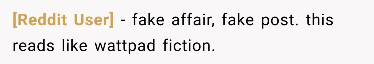 [Reddit User] − fake affair, fake post. this reads like wattpad fiction.
