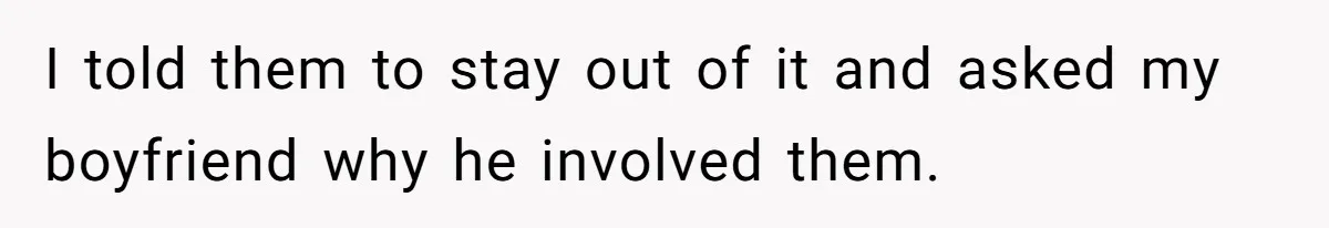I told them to stay out of it and asked my boyfriend why he involved them.