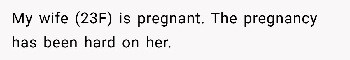 My wife (23F) is pregnant. The pregnancy has been hard on her.