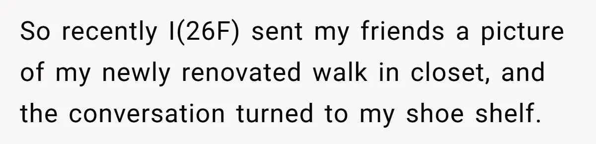 So recently I(26F) sent my friends a picture of my newly renovated walk in closet, and the conversation turned to my shoe shelf.