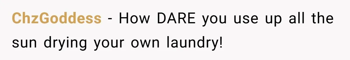 ChzGoddess − How DARE you use up all the sun drying your own laundry!
