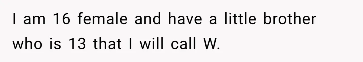 I am 16 female and have a little brother who is 13 that I will call W.