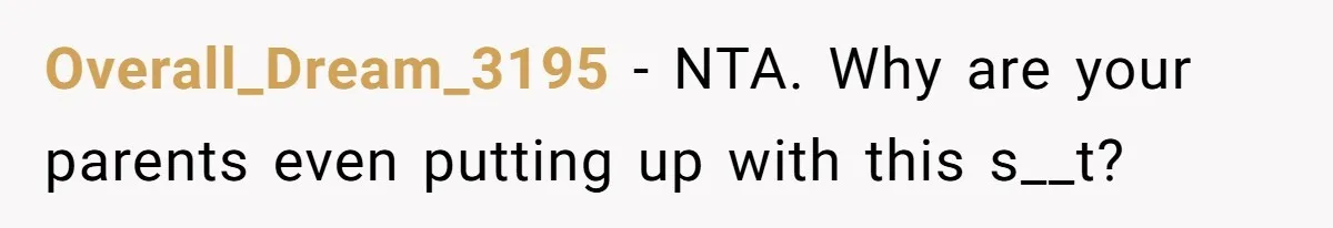 Overall_Dream_3195 − NTA. Why are your parents even putting up with this s__t?