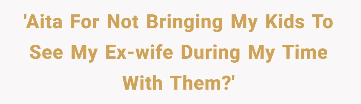 'AITA For not bringing my kids to see my ex-wife during my time with them?'