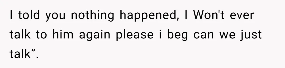 I told you nothing happened, I Won't ever talk to him again please i beg can we just talk”.