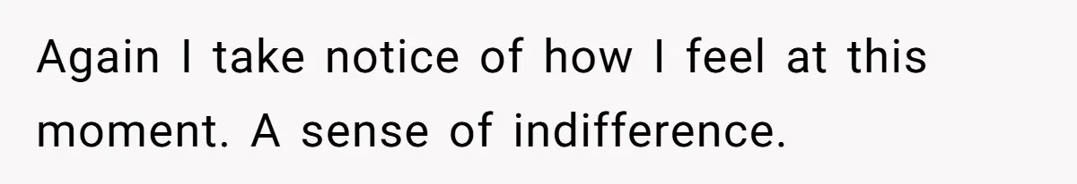 Again I take notice of how I feel at this moment. A sense of indifference.