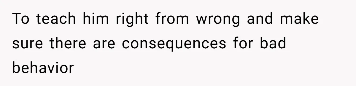 To teach him right from wrong and make sure there are consequences for bad behavior
