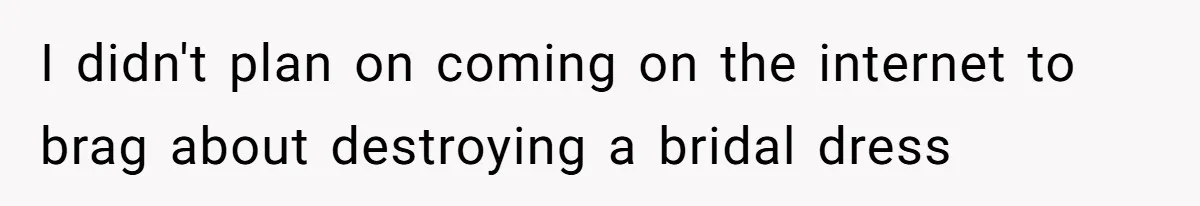 I didn't plan on coming on the internet to brag about destroying a bridal dress