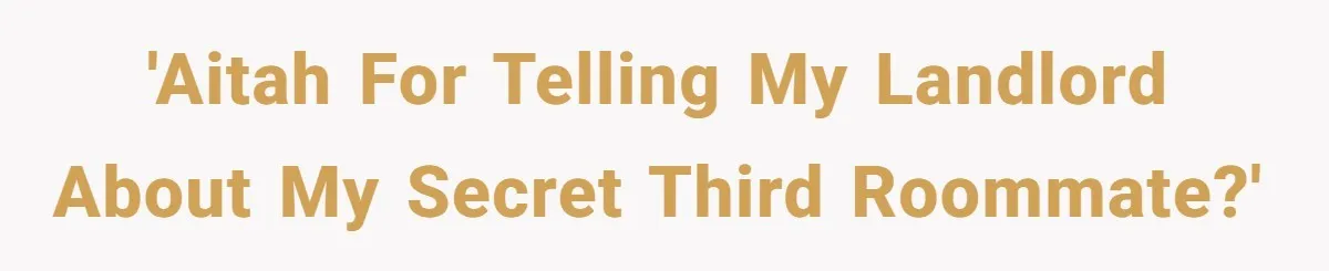 'AITAH For telling my landlord about my secret third roommate?'