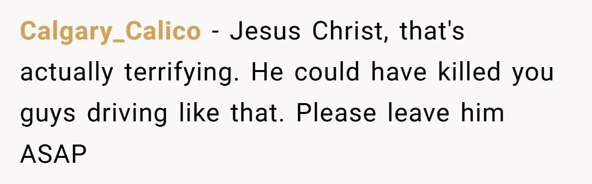 Calgary_Calico − Jesus Christ, that's actually terrifying. He could have killed you guys driving like that. Please leave him ASAP