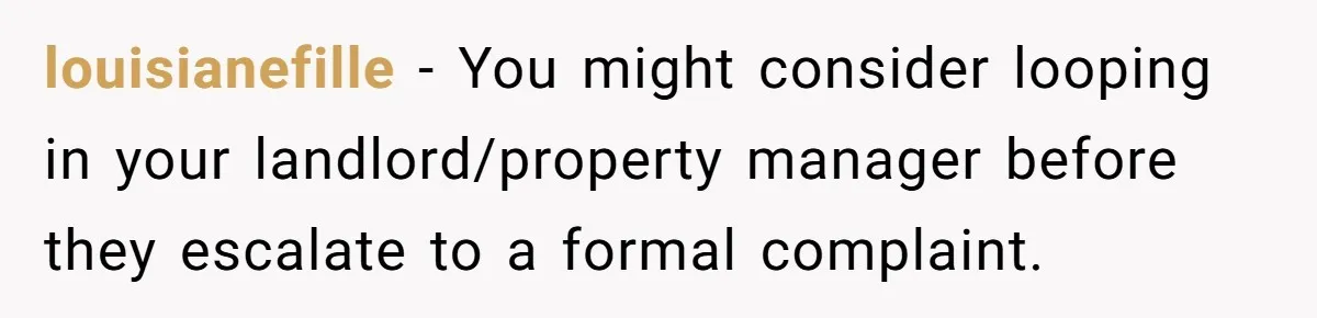louisianefille − You might consider looping in your landlord/property manager before they escalate to a formal complaint.