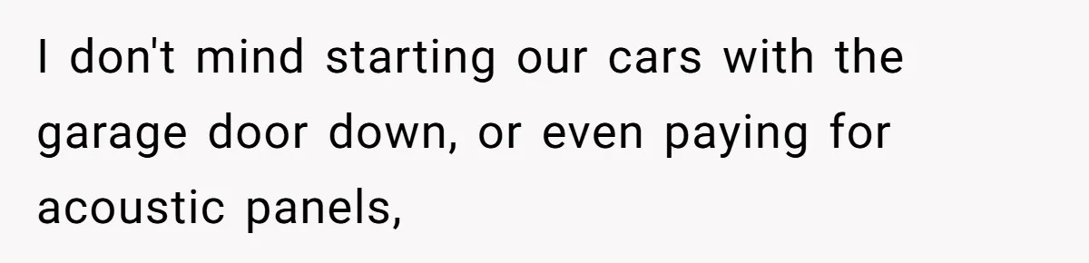 I don't mind starting our cars with the garage door down, or even paying for acoustic panels,