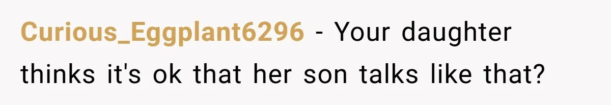 Curious_Eggplant6296 − Your daughter thinks it's ok that her son talks like that?